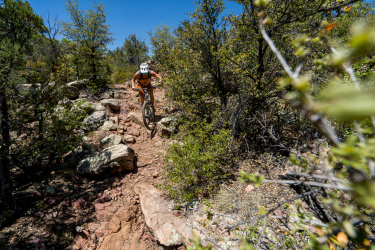 A mountain biker navigating a rocky trail surrounded by green shrubs and trees under a clear blue sky. Arizona Trail: Whiterock Mesa mountain bike trail.