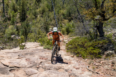 A mountain biker climbs a rocky trail amidst a lush green forest, wearing a helmet and sunglasses. The rider is focused on navigating the challenging terrain, showcasing the thrill of outdoor cycling. Arizona Trail: Whiterock Mesa mountain bike trail.