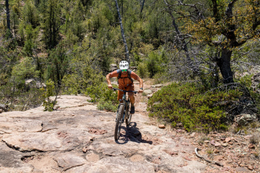 A person riding a mountain bike uphill on rocky terrain, surrounded by trees and greenery under a clear sky. They are wearing a helmet and sunglasses, and are focused on navigating the challenging path. Pine-Strawberry Loop mountain bike trail.