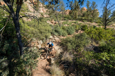 A mountain biker navigating a rocky trail surrounded by dense greenery and trees under a clear blue sky. Granite Dells mountain bike trail.