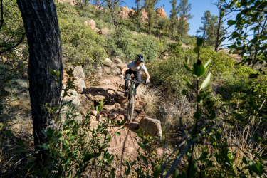 A mountain biker riding along a rocky trail surrounded by greenery and trees in a natural outdoor environment. The sun is shining, casting a vibrant light on the landscape. Granite Dells mountain bike trail.