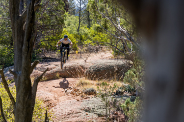A mountain biker in mid-air performing a jump over a rocky trail, surrounded by trees and greenery in a sunny outdoor setting. Granite Dells mountain bike trail.