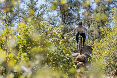 A mountain biker in a gray shirt and black helmet leaps off a rock formation amidst a lush green landscape of trees and bushes on a sunny day. Granite Dells mountain bike trail.