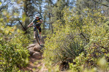 A mountain biker performing a jump over a rock formation surrounded by greenery and trees on a sunny day. The rider is wearing a helmet and protective gear, with a look of concentration as they navigate the trail. Dust kicks up from the bike's tires, highlighting the action in a natural outdoor setting. Granite Dells mountain bike trail.
