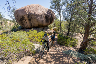 Three mountain bikers navigate a winding dirt trail surrounded by greenery and rock formations, including a large boulder. The scene is set in a sunny outdoor environment, showcasing the beauty of nature and outdoor activity. Granite Dells mountain bike trail.