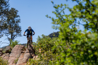 A mountain biker navigating rocky terrain on a sunny day, surrounded by greenery and tree branches in the foreground. Granite Dells mountain bike trail.