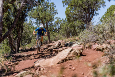 A mountain biker riding on a rocky trail surrounded by trees on a sunny day. Ubuntu Trail mountain bike trail.