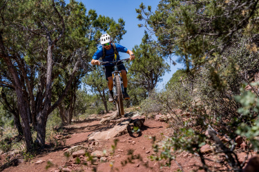 A mountain biker in a blue shirt and helmet jumps over a rocky section of a dirt trail, surrounded by trees and greenery on a sunny day. Ubuntu Trail mountain bike trail.