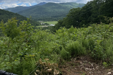 A scenic view from the perspective of a mountain biker's handlebars, overlooking a lush green valley surrounded by mountains under a cloudy sky. The foreground features bike handles and a dirt trail, while the background showcases rolling hills and distant mountains. Maple Wind Farm mountain bike trail.