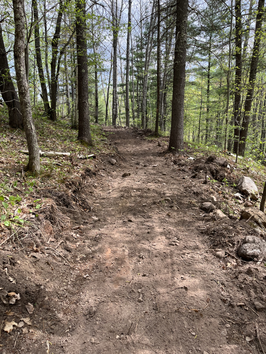 A clear dirt path winding through a forest, surrounded by tall trees with budding leaves. The ground is uneven, showing signs of recent maintenance, with visible rocks and roots along the edges. The atmosphere is tranquil, with a hint of greenery in the underbrush and soft light filtering through the canopy above.