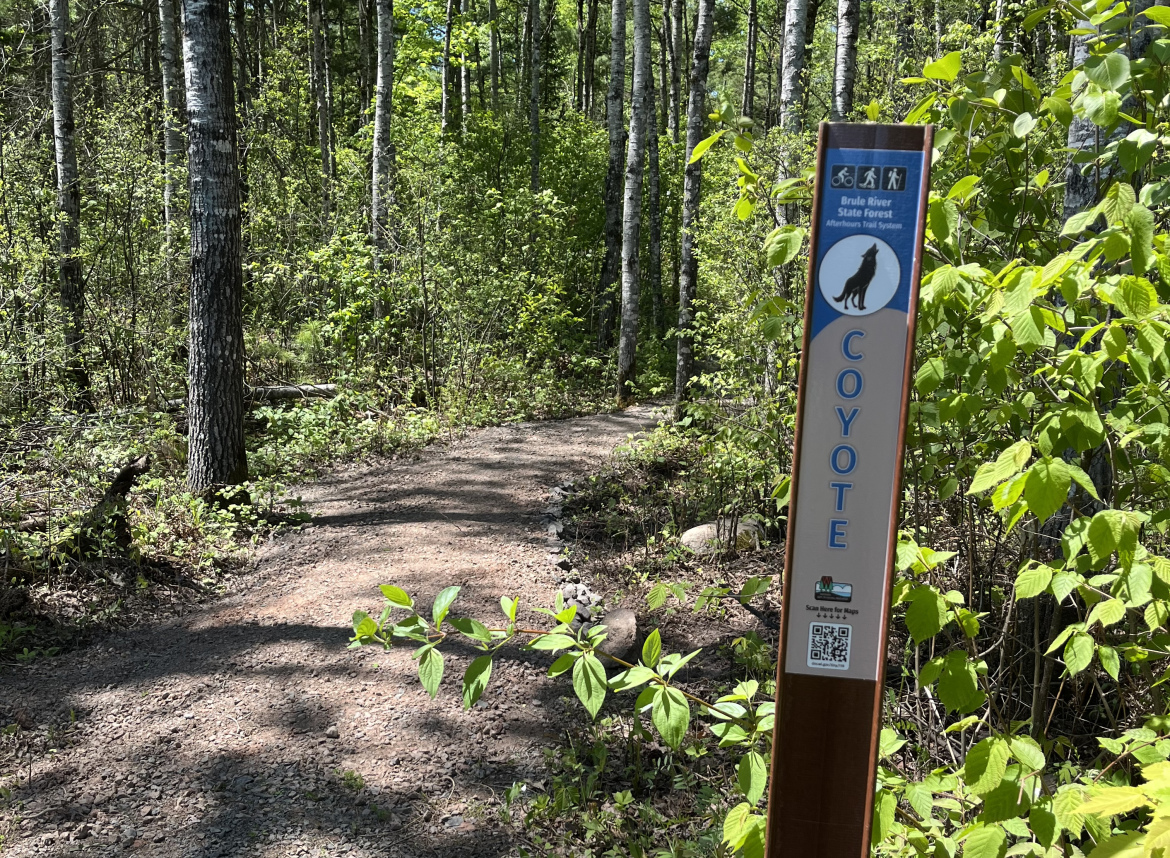 Wisconsin’s Brule River State Forest once excluded mountain biking, but not anymore