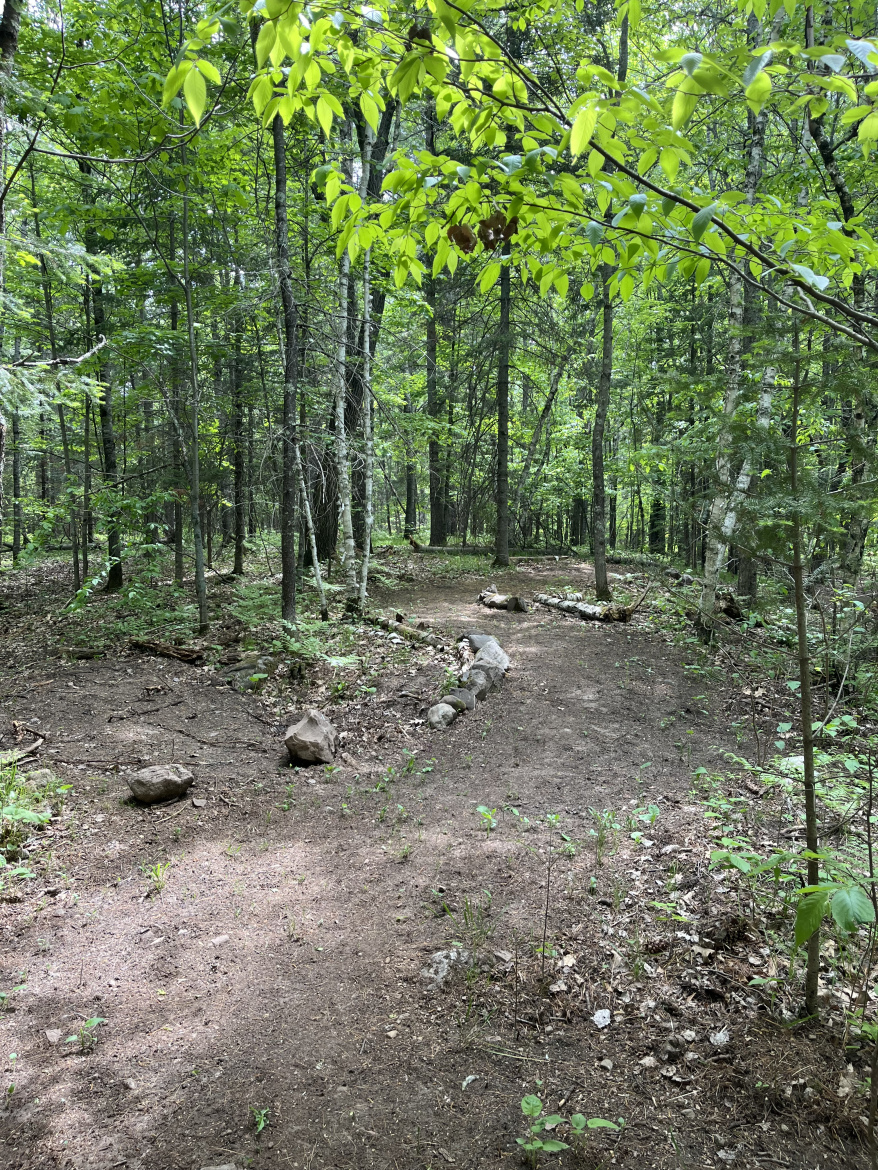 A scenic view of a dirt path winding through a lush green forest, surrounded by tall trees with vibrant leaves. The ground is scattered with rocks and patches of grass, creating a natural trail that invites exploration in a peaceful, wooded setting.