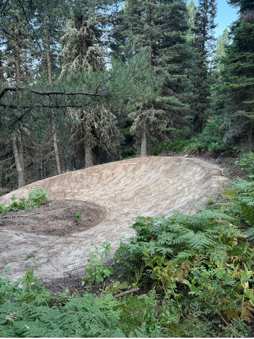 A dirt jump ramp surrounded by tall trees and lush greenery in a forested area, featuring a smooth, curved surface with loose soil. Ferns and small plants are visible in the foreground.