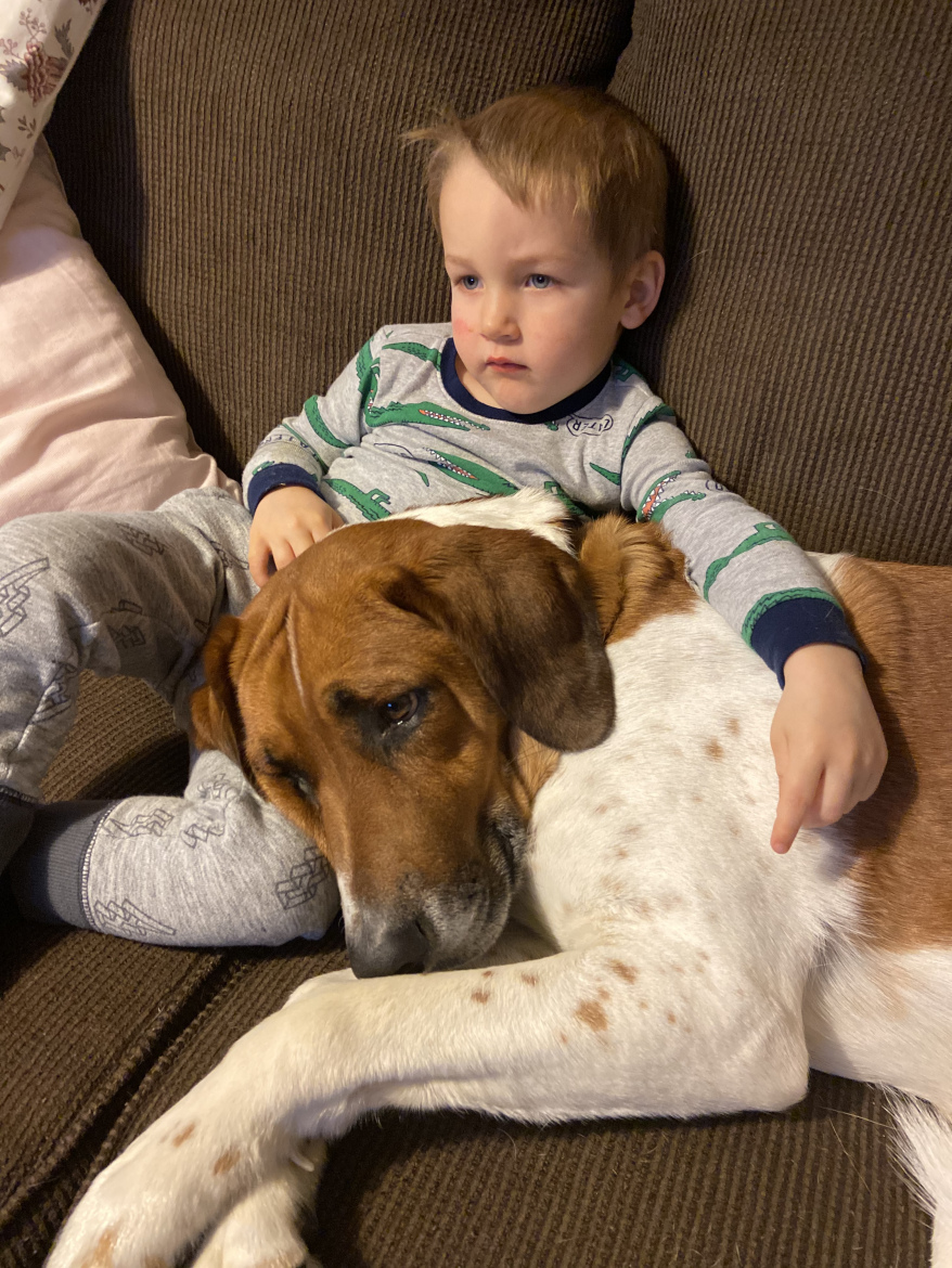 A young child sitting on a couch, wearing pajamas, leans against a large dog that is resting its head on the child's lap. The child has a serious expression and is lightly touching the dog's fur. The couch has a textured fabric, and there is a pillow beside them.