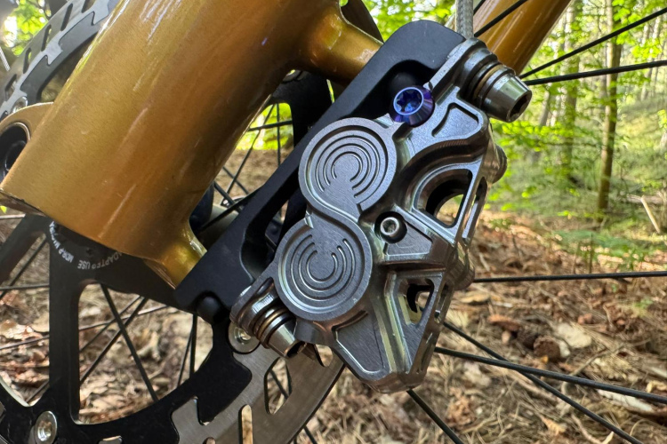 Close-up view of a bicycle's hydraulic brake caliper mounted near the rear wheel, showing intricate details of the metallic components and hydraulic lines, set against a backdrop of green foliage and forest floor debris.