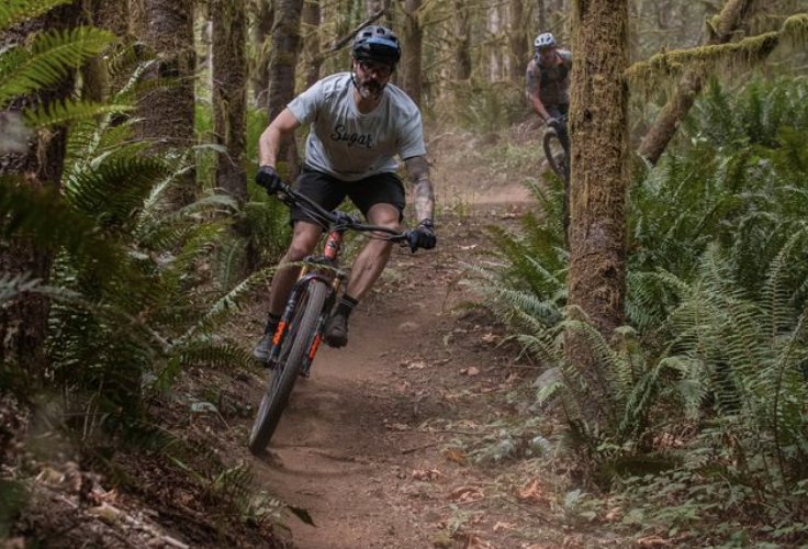 Two mountain bikers navigate a dirt trail through a lush, green forest. The foreground features a rider in a light gray t-shirt and helmet leaning into a turn, while a second rider follows in the background. Ferns and moss-covered trees frame the scene, highlighting the natural beauty of the environment.