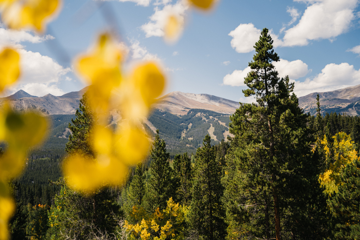 A scenic view of mountains in the background off of the Aspen Alley trail, framed by vibrant yellow leaves in the foreground. Tall evergreen trees and rolling hills are visible, with a bright blue sky dotted with white clouds.