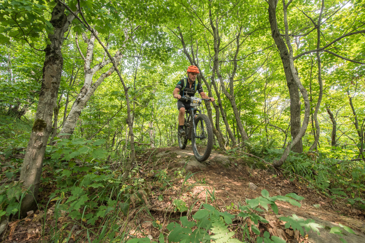 A person riding a mountain bike on a rocky trail surrounded by lush green trees and foliage in a forest setting.