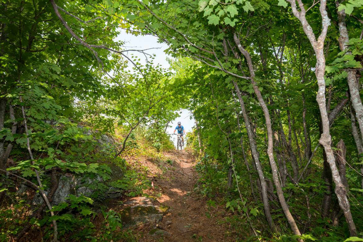 A cyclist riding along a dirt trail surrounded by lush green trees and foliage, with a rocky area on the side. The scene captures a sense of adventure and exploration in a natural setting.