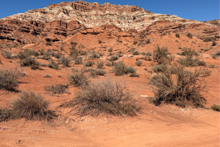 A desert landscape featuring a steep, reddish-brown mountain with layered rock formations under a clear blue sky. The foreground includes sparse vegetation with small bushes and dry ground, emphasizing the arid environment.