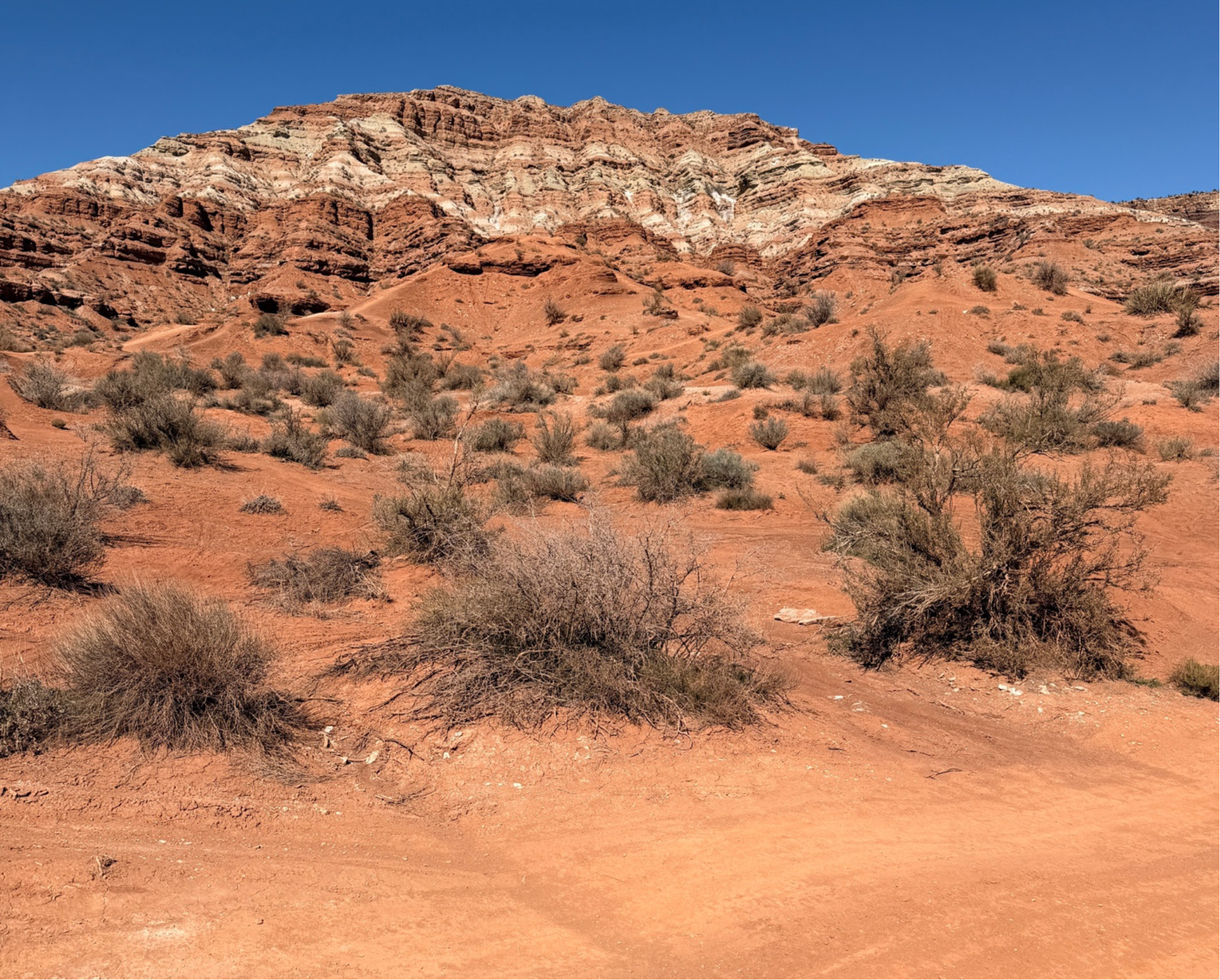 Red Bull Rampage seeks return to original venue for 2026