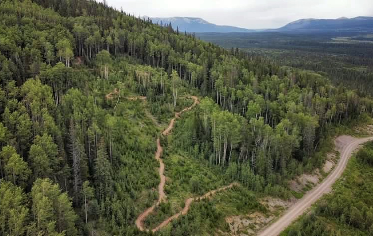 Aerial view of a winding dirt trail surrounded by lush green forest, with mountains in the distance. The path meanders through the trees on a hillside, leading towards open fields. A gravel road runs parallel to the trail at the bottom of the image.