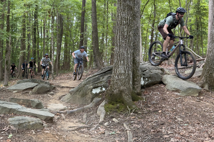 Mountain bikers navigating a rocky trail in a lush forest setting. Several riders can be seen, with one airborne over a rock formation, showcasing the dynamic and adventurous nature of the sport. The scene is surrounded by tall trees and green foliage, depicting a vibrant outdoor environment.