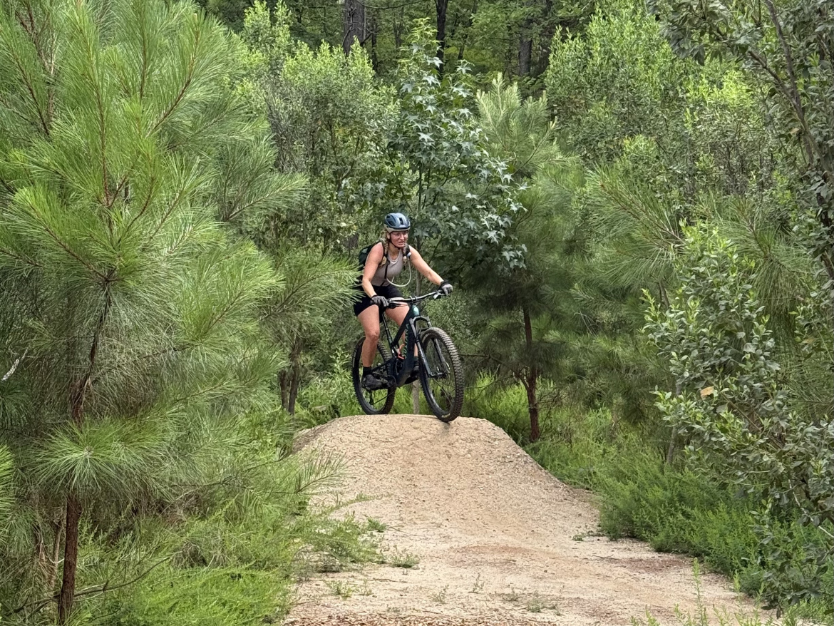 A person riding a mountain bike performs a jump over a dirt mound in a forested area, surrounded by green pine trees and dense foliage. The cyclist is wearing a helmet and casual riding gear.