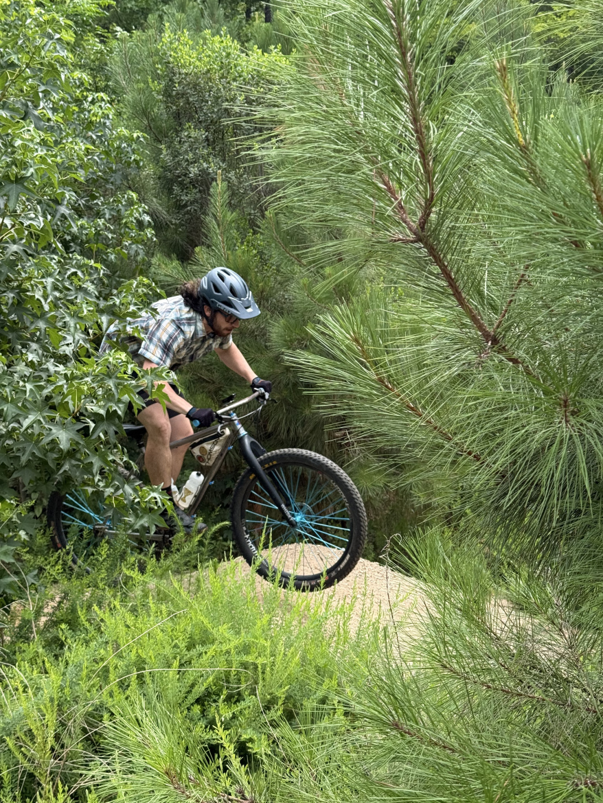 A person riding a mountain bike along a sandy path in a wooded area, surrounded by tall green plants and pine trees. The rider is wearing a helmet and a plaid shirt, focusing on navigating the trail.