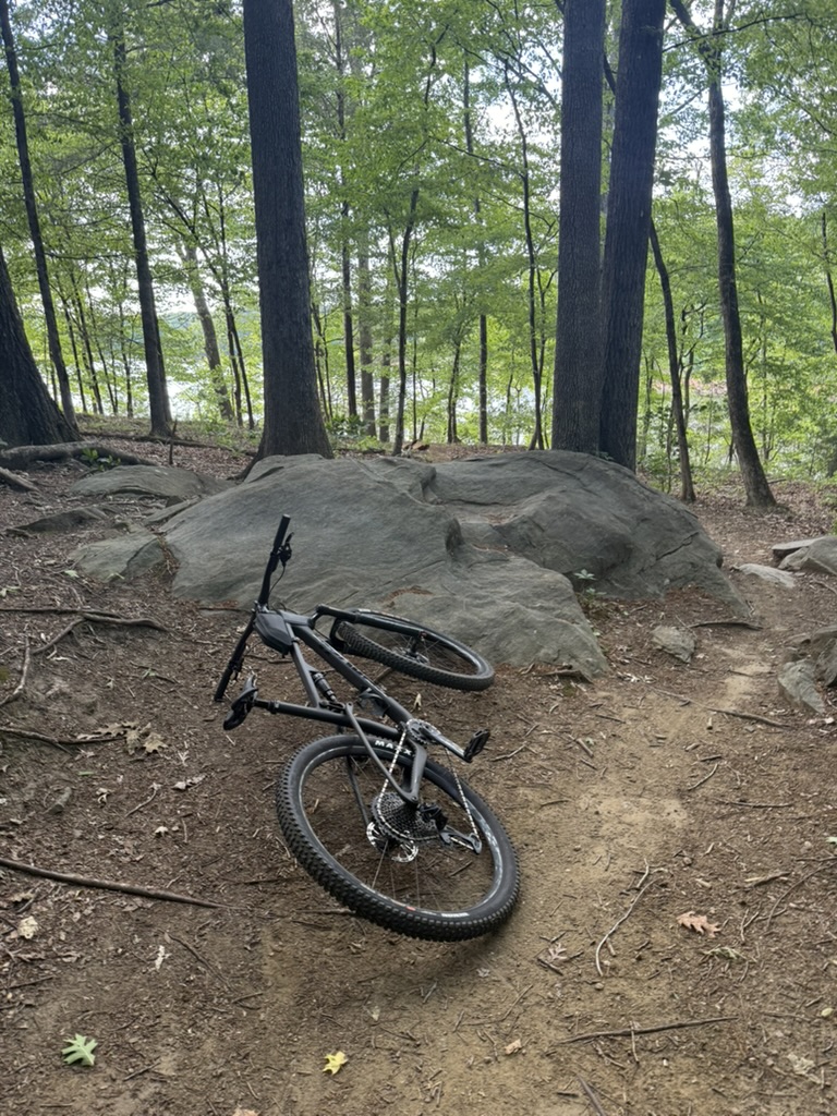 A mountain bike lying on its side on a dirt trail, surrounded by large rocks and trees in a wooded area. In the background, a glimpse of water can be seen through the trees, suggesting a nearby lake or river.