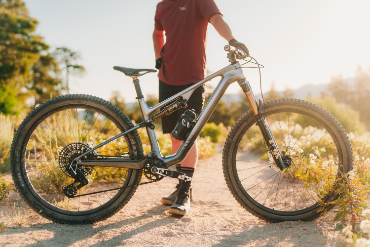 A mountain bike with a sleek silver frame rests in a sandy area, surrounded by greenery. The bike features large, rugged tires and a detailed gear system. In the background, a person dressed in a maroon shirt and black shorts stands beside the bike, enjoying the sunny outdoor setting. The sunlight casts a warm glow over the scene, highlighting the bike's design and the natural surroundings.