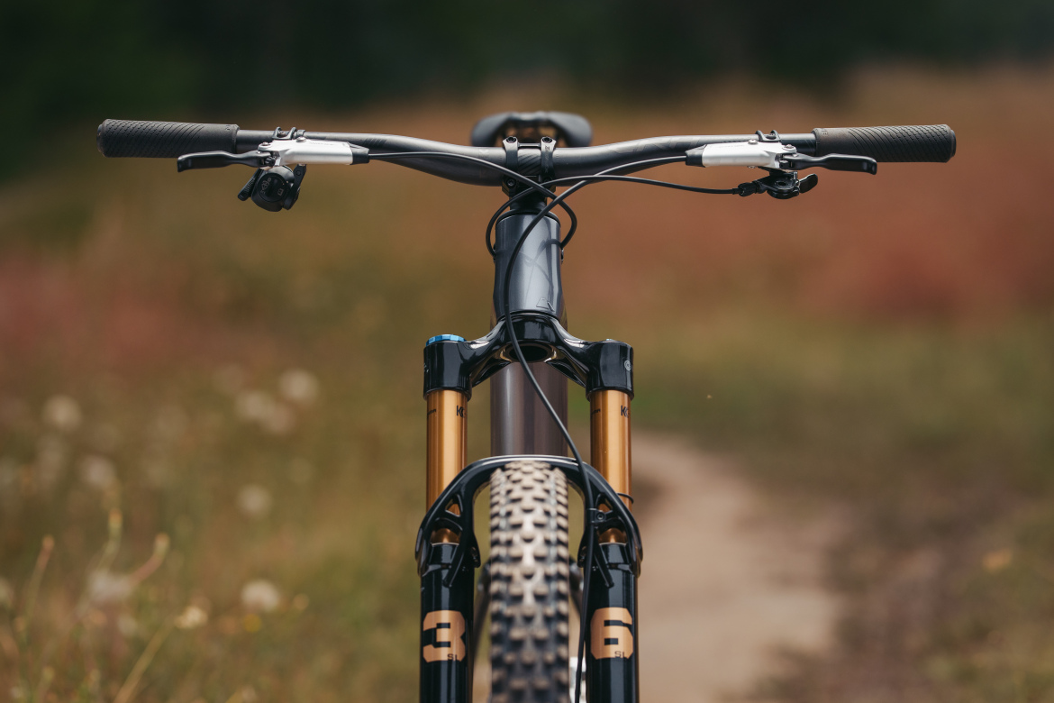 A close-up view of a mountain bike from the front, showcasing the handlebars, fork, and tire. The handlebars feature textured grips and gear shifters. The bike's suspension fork has gold anodized stanchions, and the background displays a blurred natural landscape with green and orange foliage.