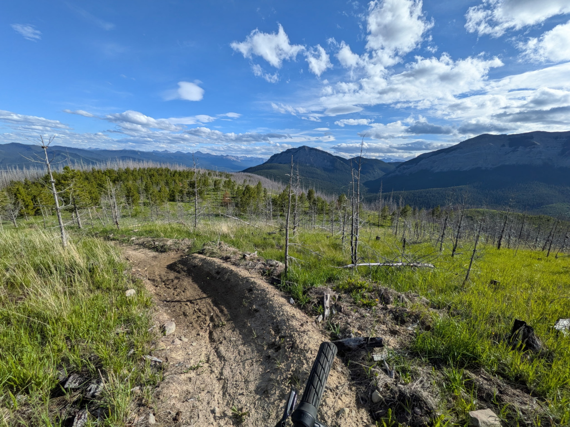 A scenic view from a mountain trail, showcasing a landscape of rolling hills and distant mountains under a blue sky with scattered clouds. In the foreground, a bike handlebar is visible, and the ground features a dirt path bordered by patches of grass and small trees, some of which appear to be recovering from previous damage.