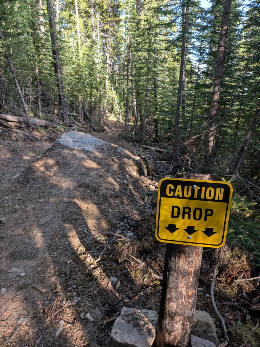 A dirt trail winding through a forest of evergreen trees, with a large warning sign that says "Caution Drop" mounted on a wooden post beside the path. The ground is uneven with visible rocks and tree debris, and sunlight filters through the tree canopy.