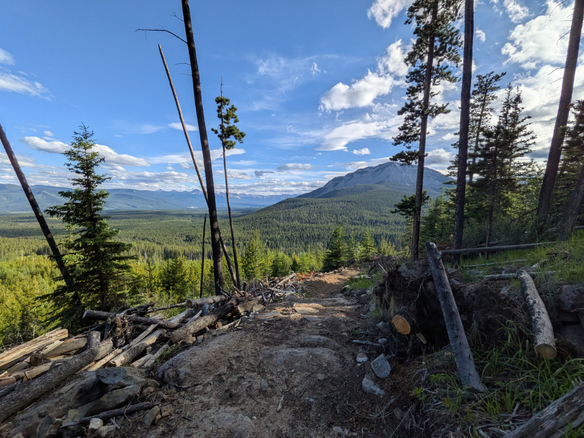A panoramic view of a mountainous landscape featuring dense forest, towering trees, and a clear blue sky with scattered clouds. The foreground shows a trail with exposed earth and fallen logs, while the background reveals a series of mountains and valleys stretching into the distance.