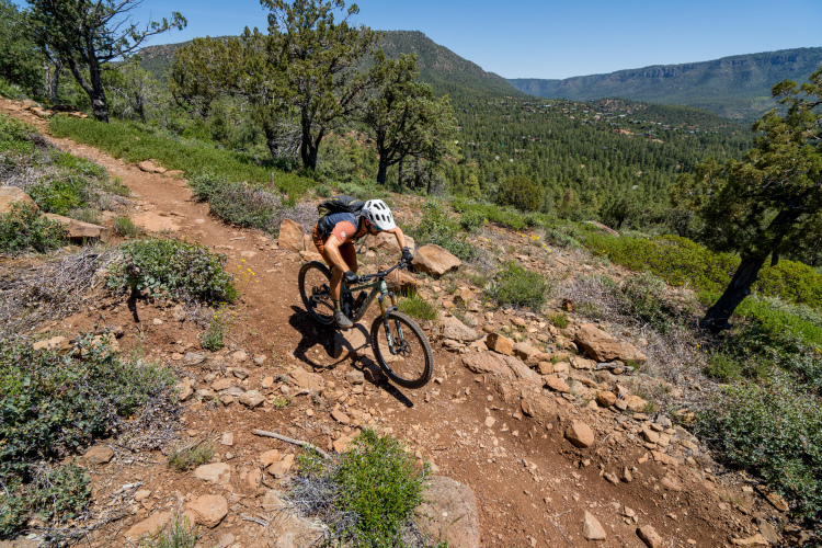 A mountain biker navigating a rocky trail on a hillside surrounded by trees and greenery, with distant mountains and blue sky in the background.