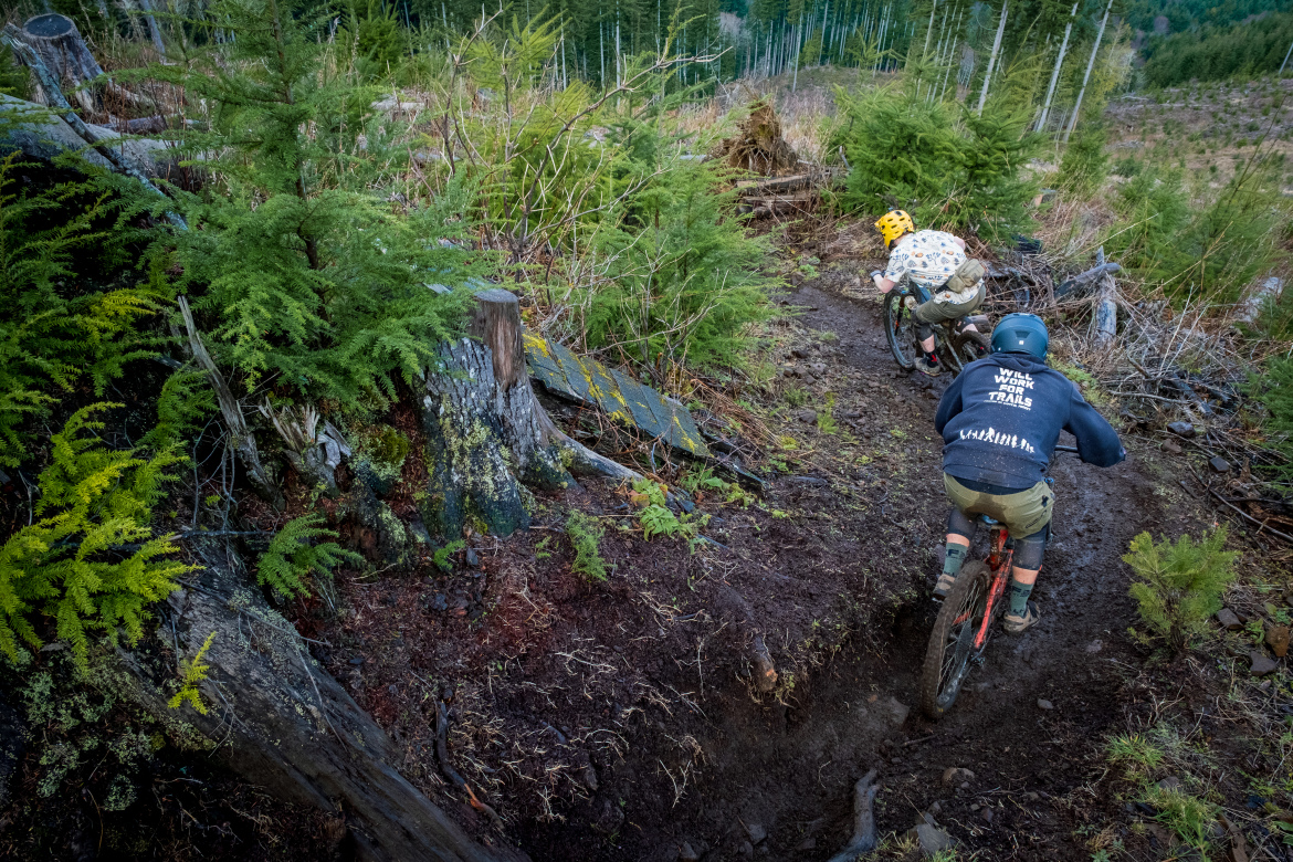 Two mountain bikers navigate a twisting trail through a forested area, surrounded by green ferns and trees. The terrain appears muddy and rugged, with bike tracks visible in the dirt. One rider, wearing a yellow helmet and a patterned shirt, leans into the curve while the other, in a black hoodie with the phrase "WILL WORK FOR TRAILS," pushes forward on a red bike. Sunlight filters through the trees, highlighting the natural setting.