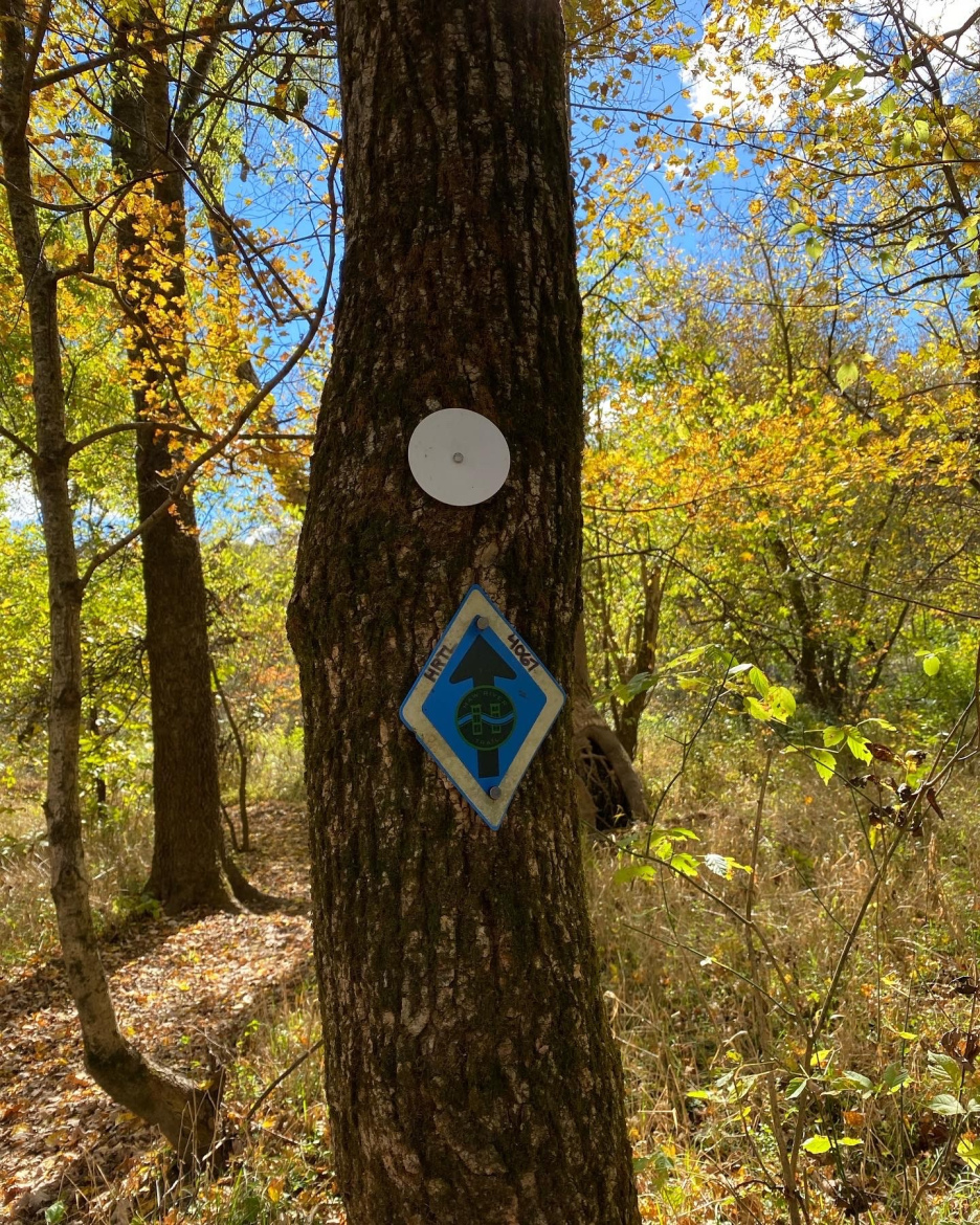A tree in a forest with a white circular marker and a blue diamond-shaped trail sign displaying an upward arrow. The background features greenery and autumn foliage under a clear blue sky.