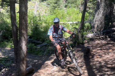A mountain biker wearing a helmet and gloves is riding along a dirt trail surrounded by trees and greenery. The sun is shining, casting shadows on the path, and a trail marker can be seen on a nearby tree. Galena Lodge Trail System mountain bike trail.