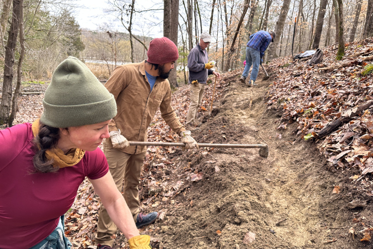 A group of four individuals is working together to maintain a hiking trail in a wooded area. Two people are visible in the foreground, one using a hoe and the other raking soil. Both are wearing gloves and casual outdoor clothing, with a focus on a woman in a green beanie and purple shirt. In the background, two other individuals are digging further up the trail, surrounded by fallen leaves and trees. The scene captures a collaborative effort in an outdoor setting during a cool day.