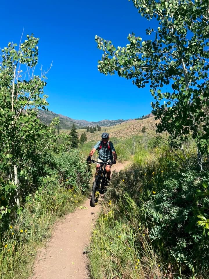 A mountain biker rides along a dirt trail surrounded by lush greenery and wildflowers, with a clear blue sky overhead and rolling hills in the background. Adams Gulch Loop mountain bike trail.