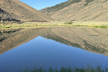 Serene landscape featuring calm water reflecting surrounding hills under a clear blue sky. Lush green grass and reeds line the water's edge, contrasting with the dry, earthy tones of the sloping hills in the background. Quigley Loop mountain bike trail.
