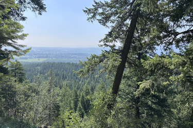 A scenic view of a lush forest from a mountain overlook, featuring tall pine trees in the foreground and rolling hills and valleys stretching into the distance under a clear blue sky. Reservoir Trail mountain bike trail.