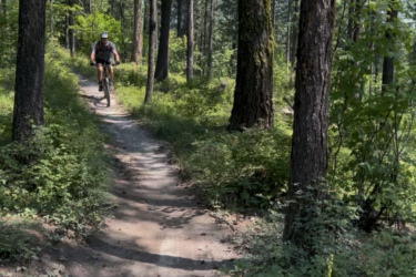 A mountain biker riding along a dirt trail surrounded by tall trees and lush greenery in a forested area on a sunny day. Reservoir Trail mountain bike trail.