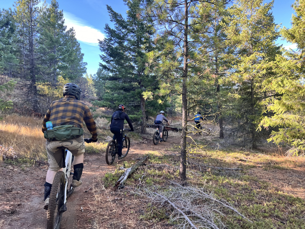 A group of four mountain bikers riding along a dirt trail through a forested area, surrounded by tall green trees and sparse underbrush. The bikers are wearing helmets and various outdoor attire, with one person in the front wearing a plaid shirt and carrying a small backpack. The sunlight filters through the trees, creating a natural and serene atmosphere.
