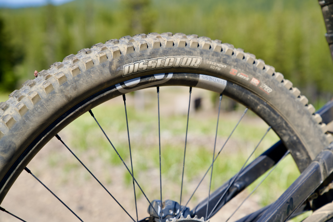 Close-up of a mountain bike tire with visible tread patterns, labeled "Dissector." The tire is slightly dirty and set against a blurred background of green foliage and trees, indicating an outdoor setting.