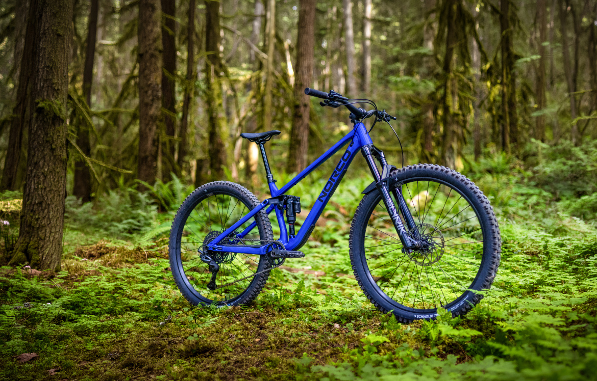 A blue mountain bike is positioned on a lush green forest floor, surrounded by tall trees and ferns. The bike features a sturdy frame and thick tires, indicating it's designed for off-road riding. The soft sunlight filters through the foliage, creating a serene outdoor atmosphere.
