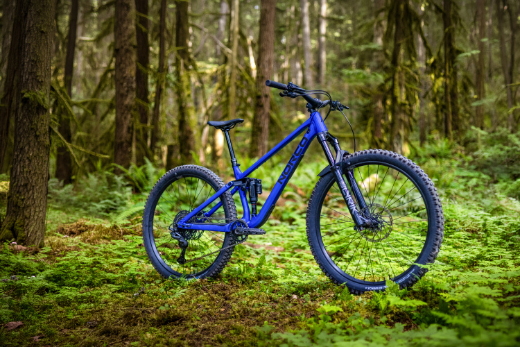 A blue mountain bike is positioned on a lush green forest floor, surrounded by tall trees and ferns. The bike features a sturdy frame and thick tires, indicating it's designed for off-road riding. The soft sunlight filters through the foliage, creating a serene outdoor atmosphere.