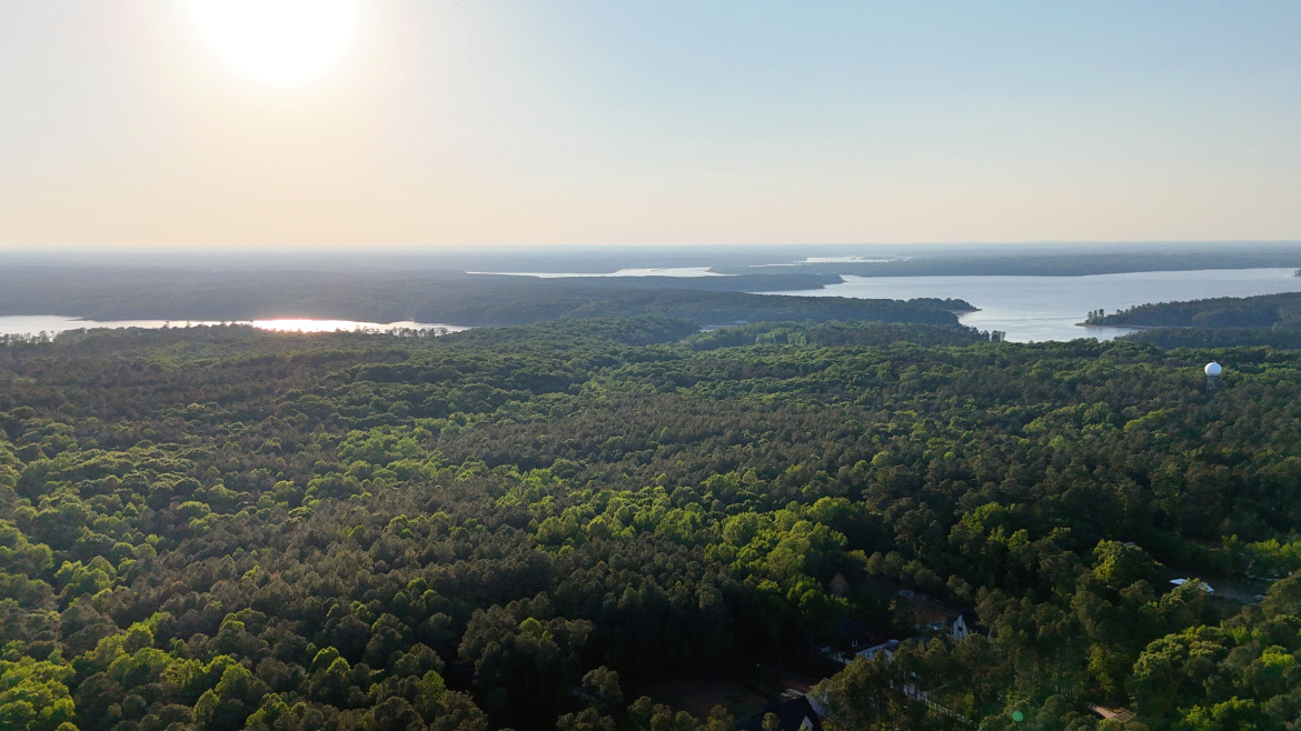 Aerial view of a lush green forest with varying shades of trees, overlooking a calm lake in the distance under a bright sun. The landscape includes rolling hills and a small white structure among the trees, creating a serene natural scene.