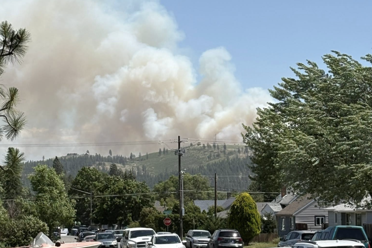 A view of a town with several parked cars on the street, surrounded by trees, with smoke billowing in the background from a nearby fire on the hills. The sky is clear blue, contrasting with the dark smoke rising into the air.